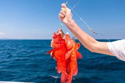 fishing tour phuket