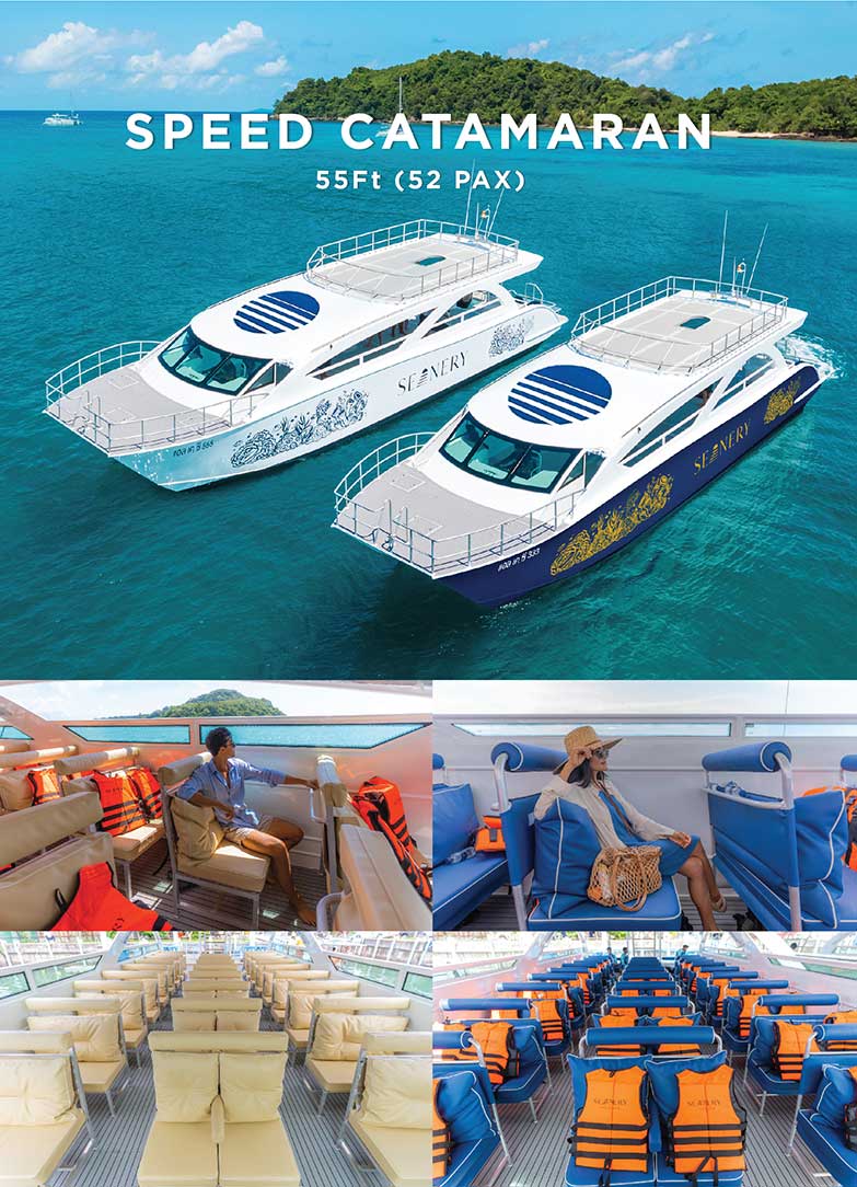 seanery speed catamaran