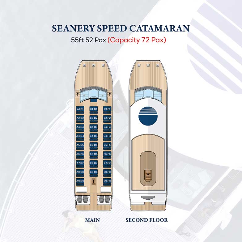 seanery speed catamaran