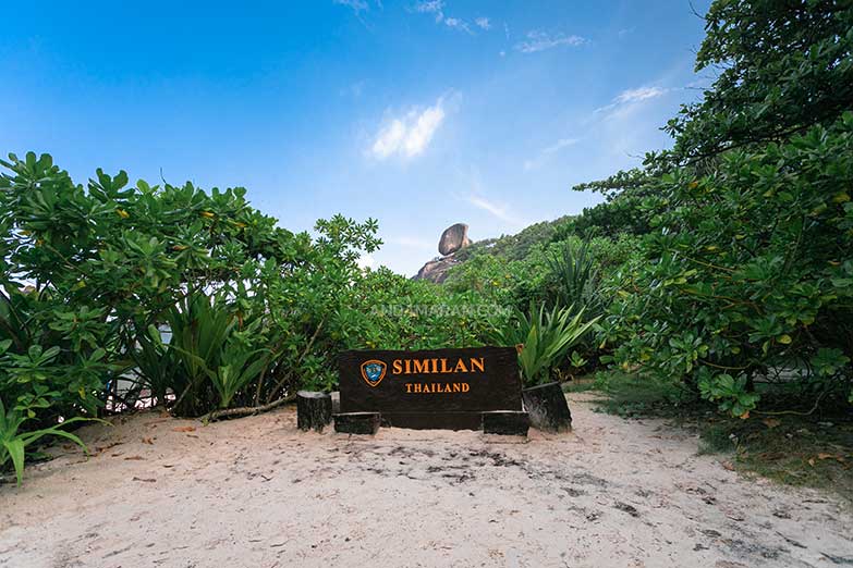 ทัวร์เกาะสิมิลัน 1 วัน-Check in Andaman (Join Tour) - Image 10