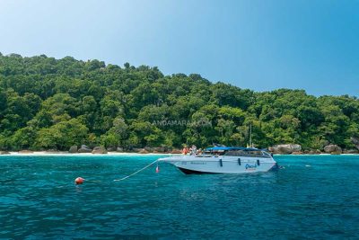 check in andaman similan