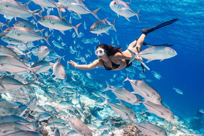 ทัวร์เกาะสิมิลัน 1 วัน-Check in Andaman (Join Tour) - Image 13