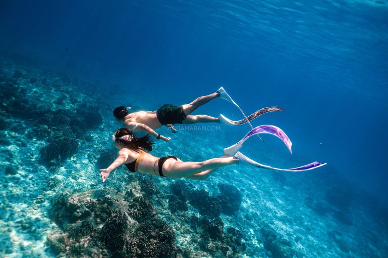 ทัวร์เกาะสิมิลัน 1 วัน-Check in Andaman (Join Tour) - Image 12