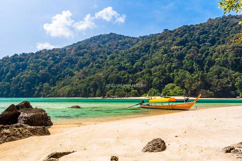 ทัวร์หมู่เกาะสุรินทร์ 1 วัน-Check in Andaman (Join Tour) - Image 16