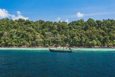 ทัวร์หมู่เกาะสุรินทร์ 1 วัน-Check in Andaman (Join Tour) - Image 11