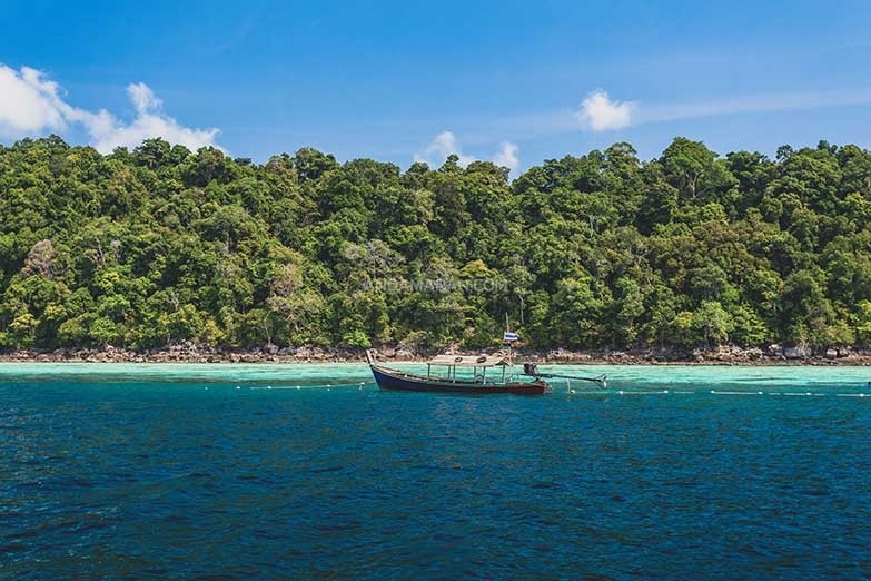 ทัวร์หมู่เกาะสุรินทร์ 1 วัน-Check in Andaman (Join Tour) - Image 11