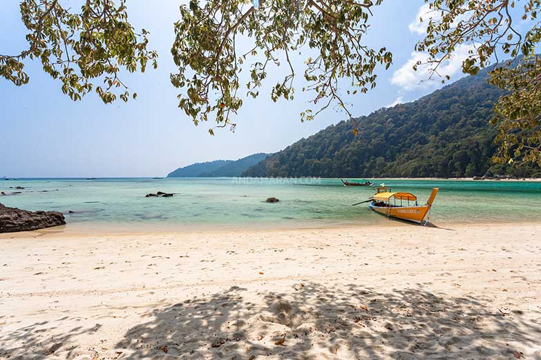 ทัวร์หมู่เกาะสุรินทร์ 1 วัน-Check in Andaman (Join Tour) - Image 15