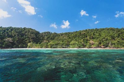 ทัวร์หมู่เกาะสุรินทร์ 1 วัน-Check in Andaman (Join Tour) - Image 12