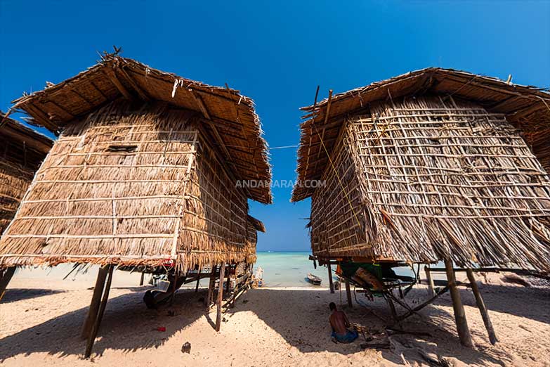 ทัวร์หมู่เกาะสุรินทร์ 1 วัน-Check in Andaman (Join Tour) - Image 7